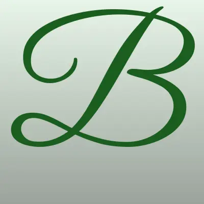 Bashneft, автозаправочная станция, лого-визитка