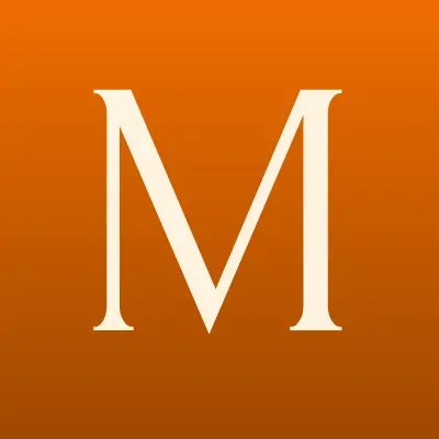 МегаФон, сеть салонов связи, лого-визитка