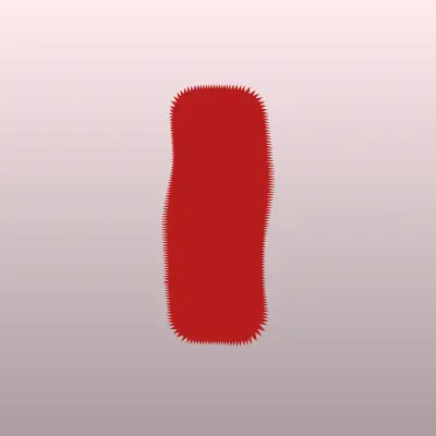 Ибрагим Челси